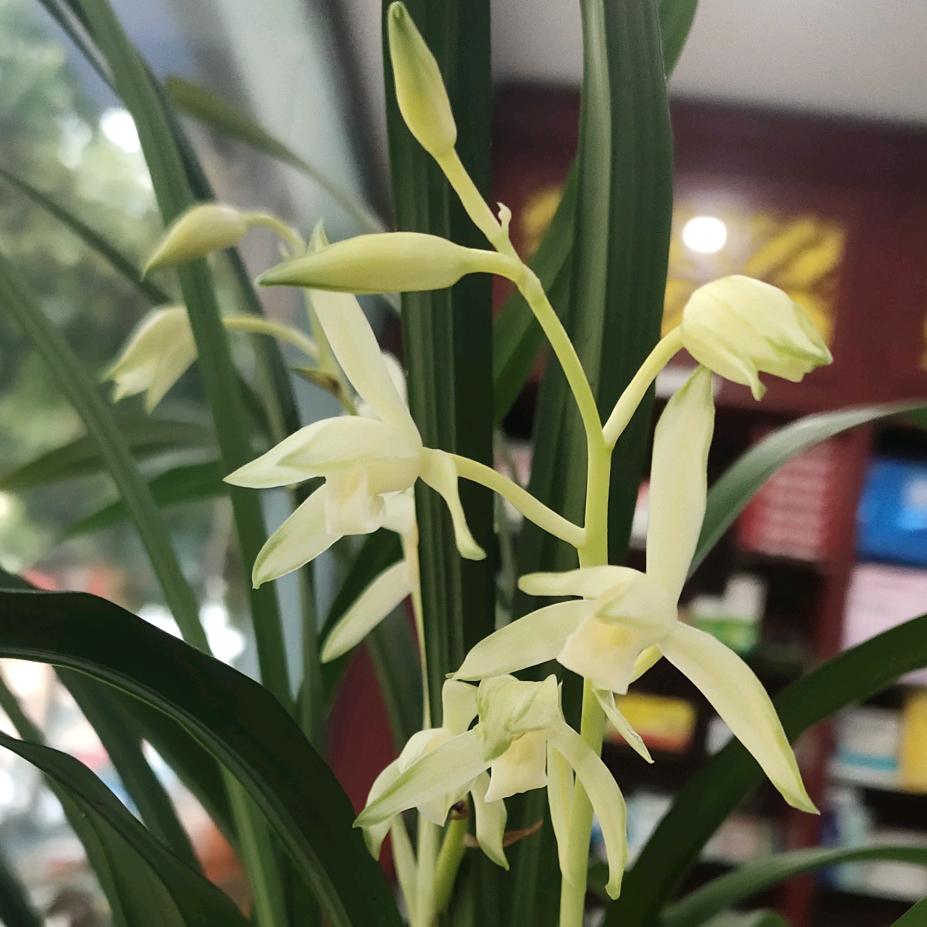 明天更美好！