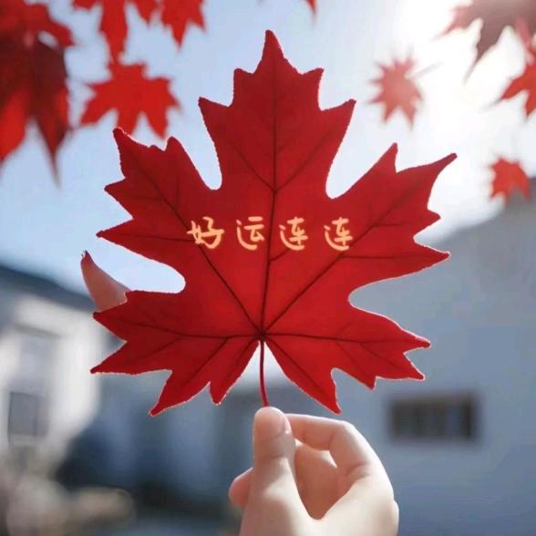 龙哥，开心每一天