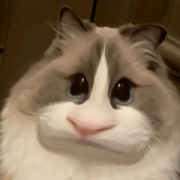 小yaba