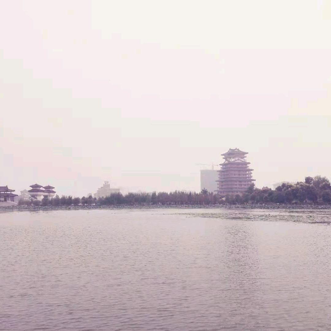 麦迪不干拔