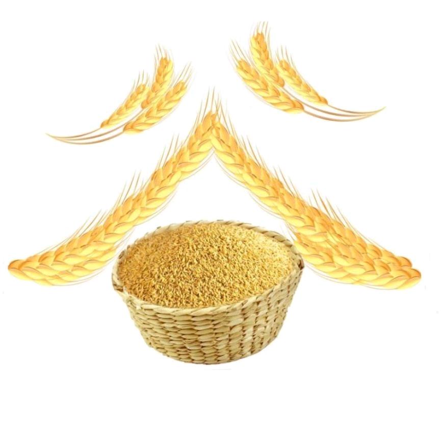 谷 哥