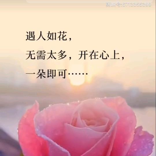 平安你我他