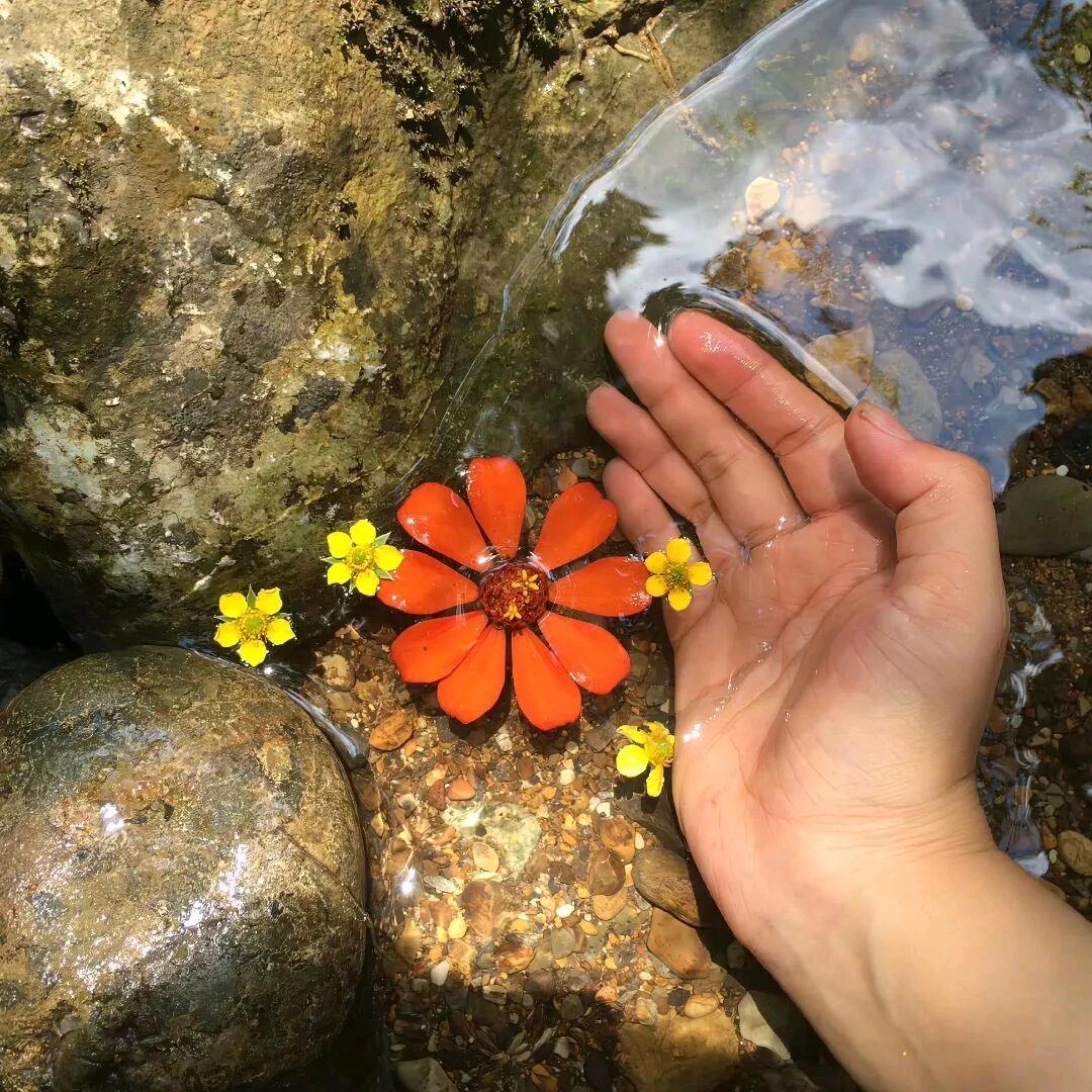 看淡一切