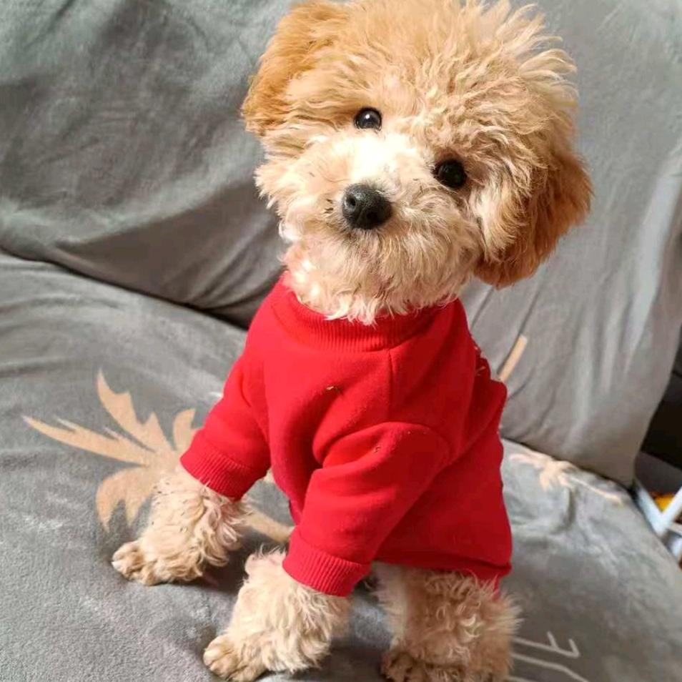 现实～