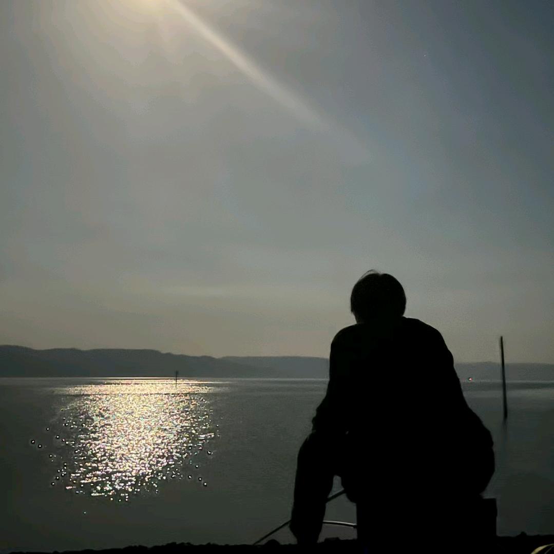 渔舟唱晚（杨辉）