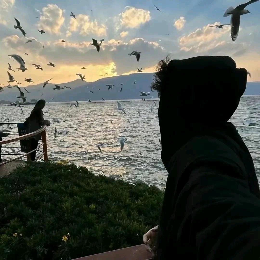 昶