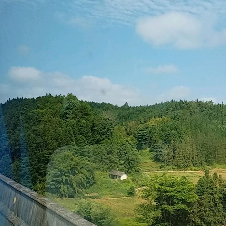 五月风