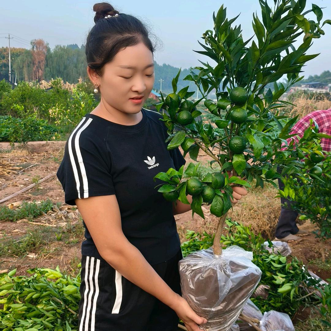 兔儿丫果苗园艺小铺