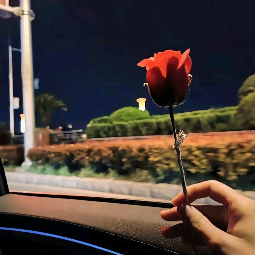 小北插