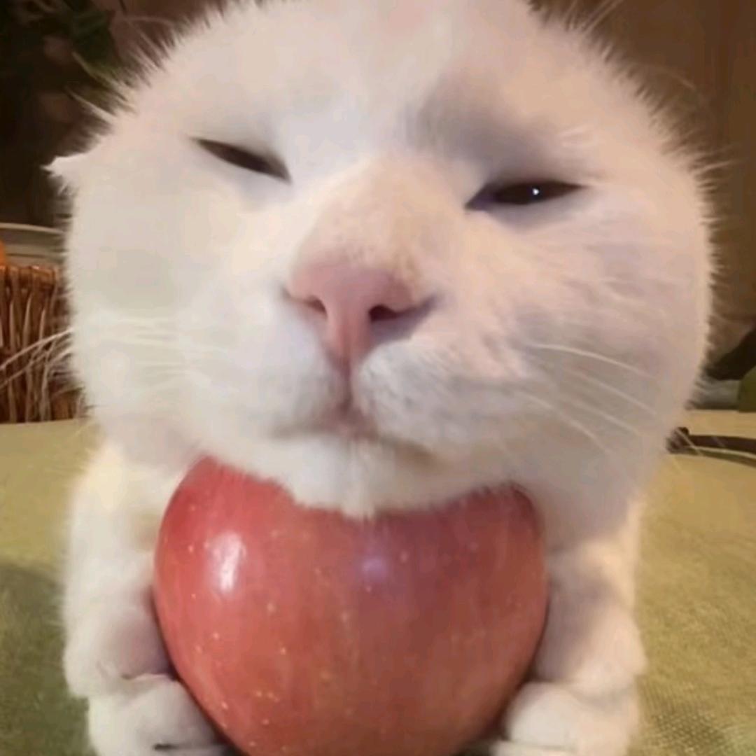 纯情丫头火辣辣