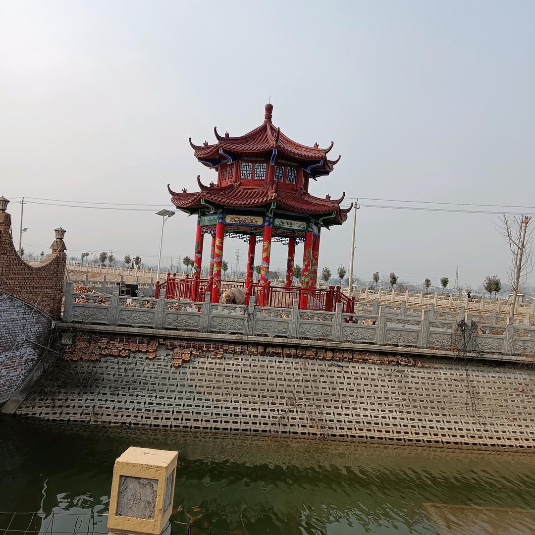 老张哥