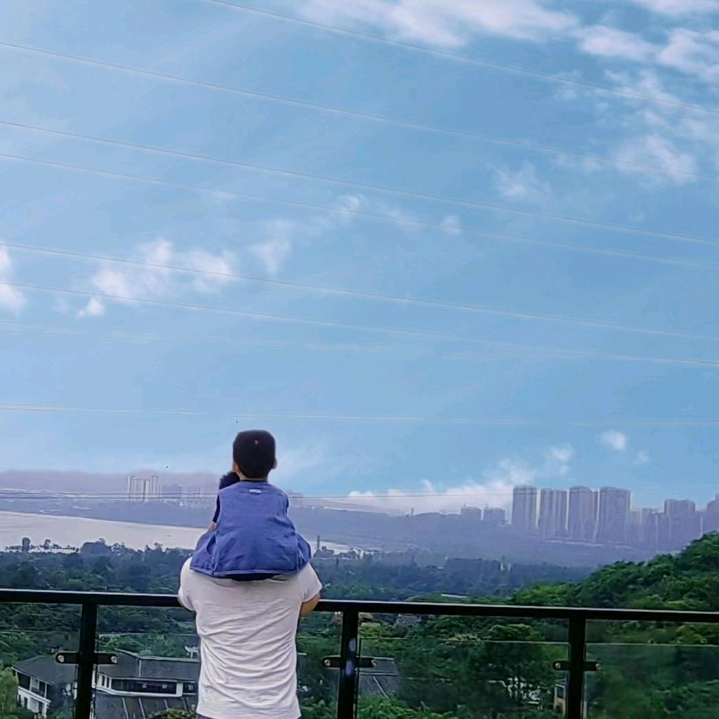 甲壳虫