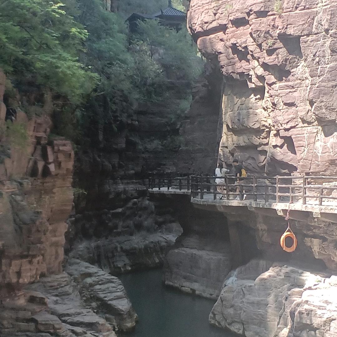 我就是我，不一样的我