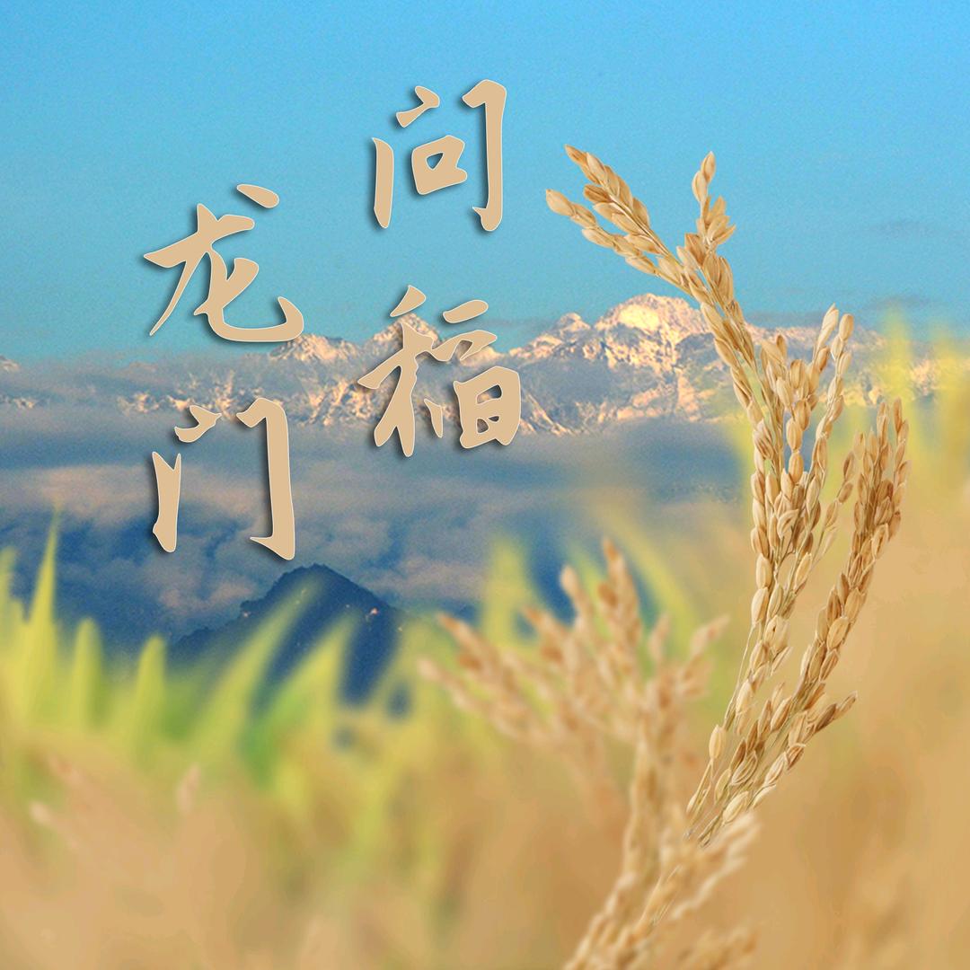 问稻龙门