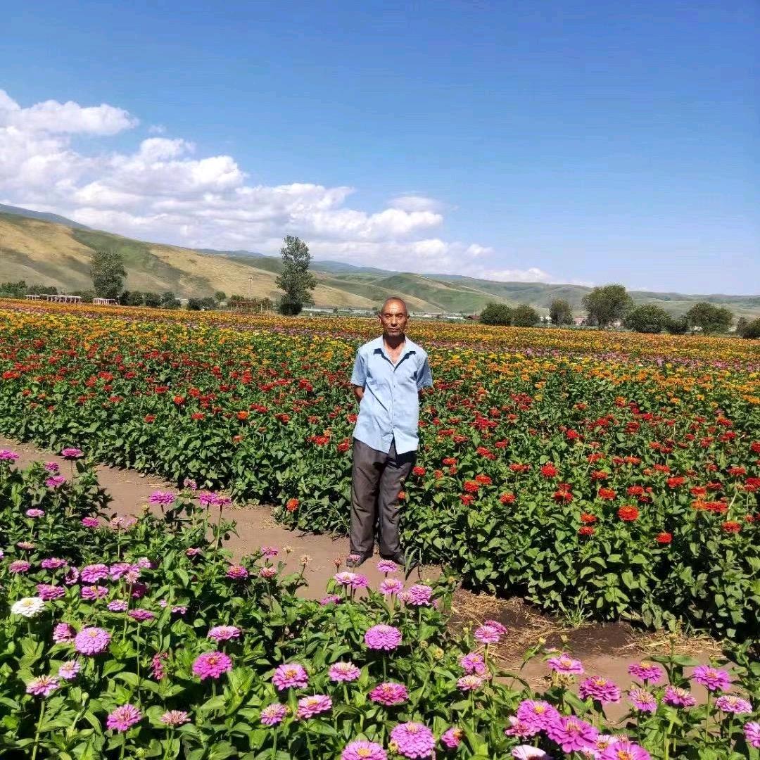 园丁bagwan（小号）