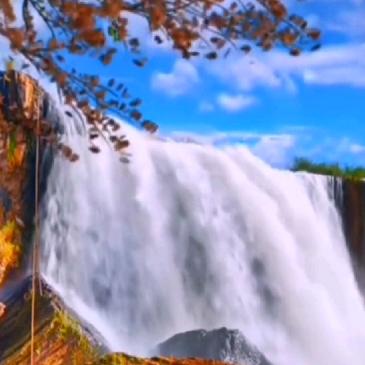 一米阳光三分暖