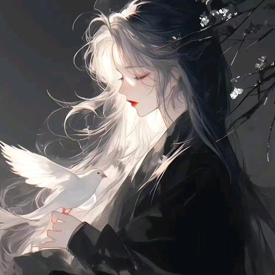 酷奇沙雕动画