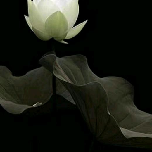 昔阳下有梦想的老农民