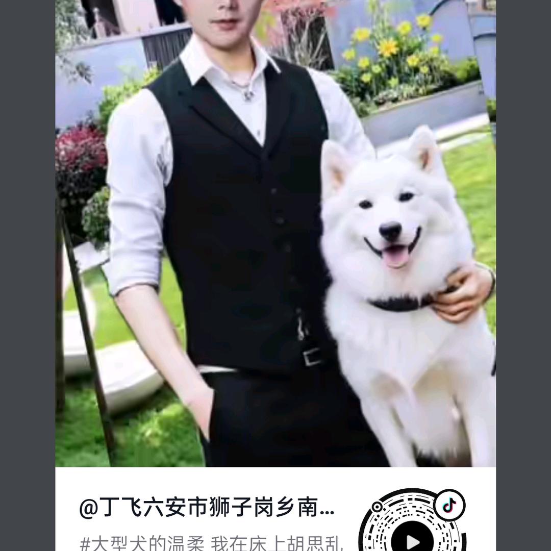 丁飞