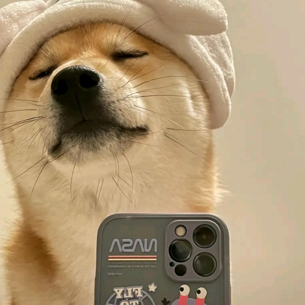 嘟嘟嘟嘟嘟嘟嘴