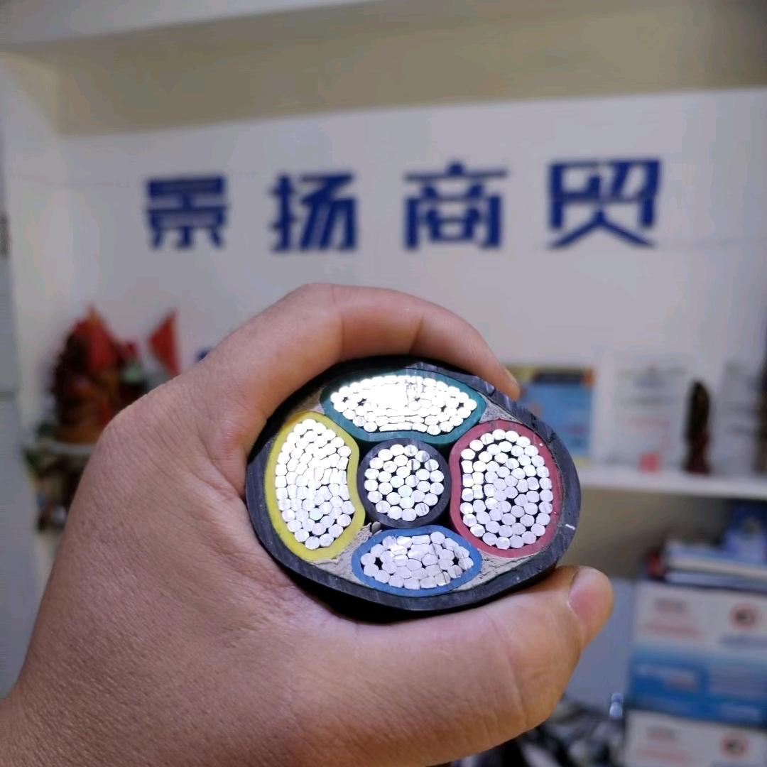 厦门景扬电线电缆头像