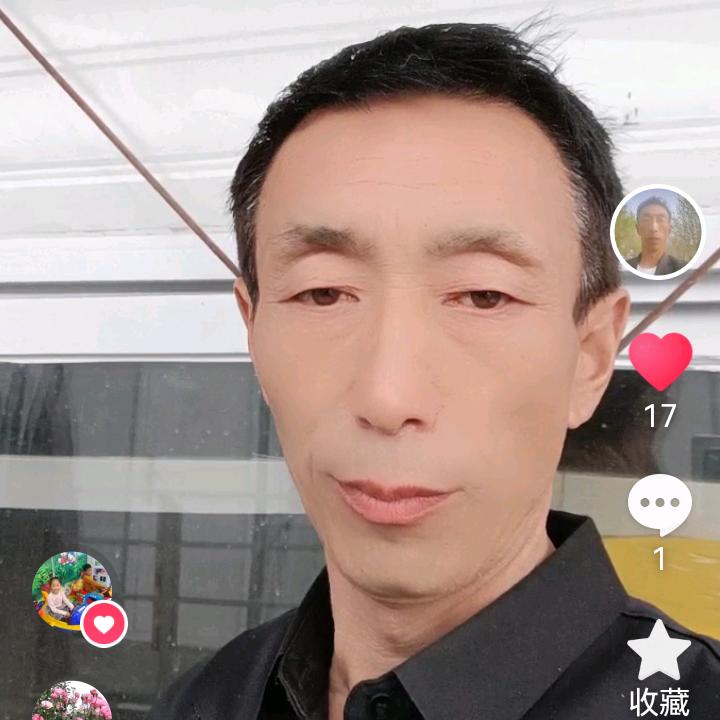 任我随心