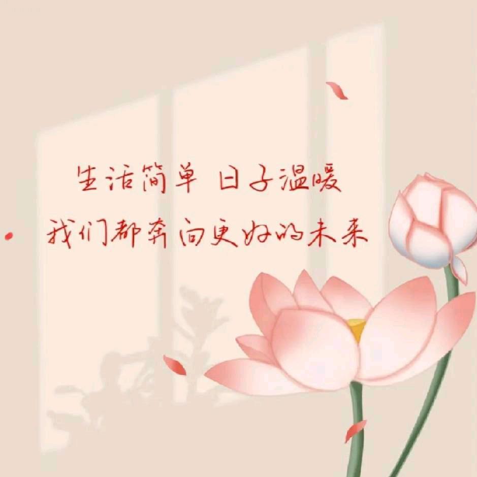 鱼丸子