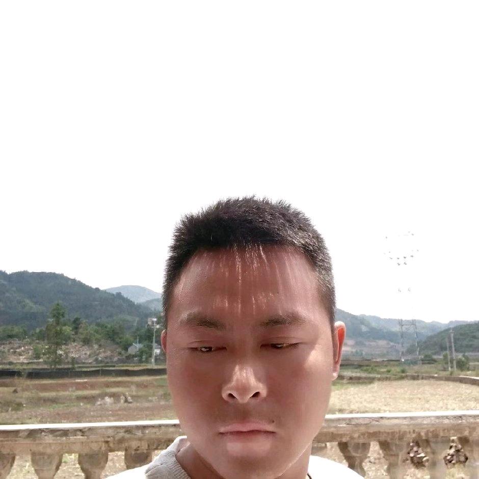 LQ猎手