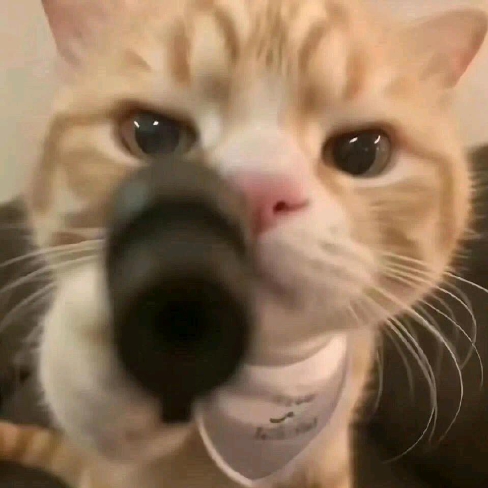 多喝咖啡‍