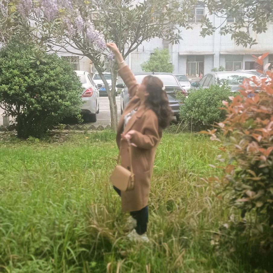 🌹人生如戏🌹