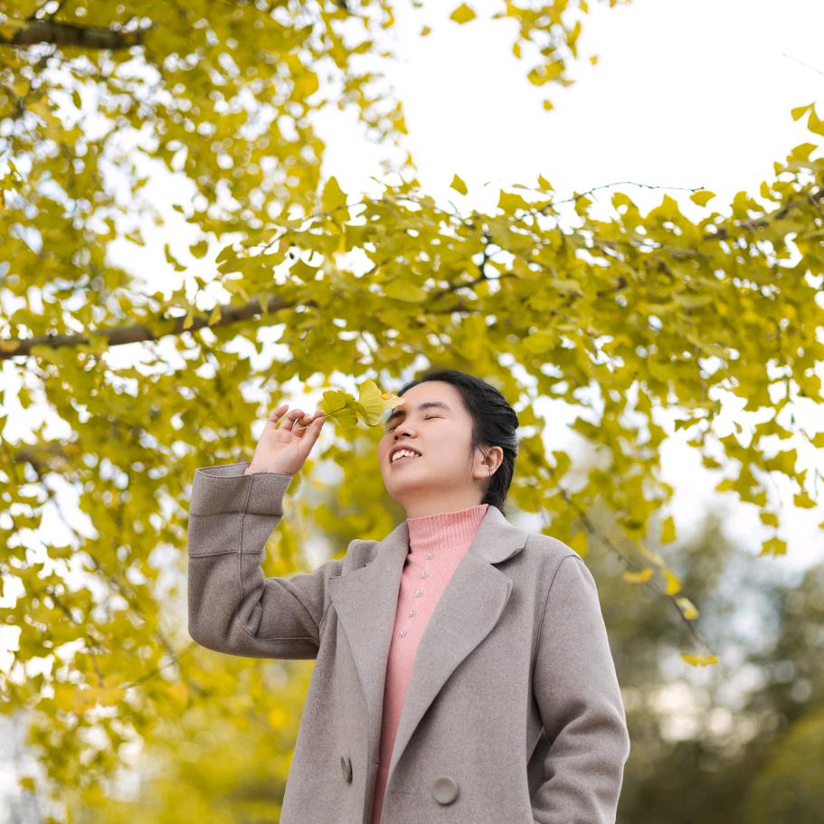 慧
