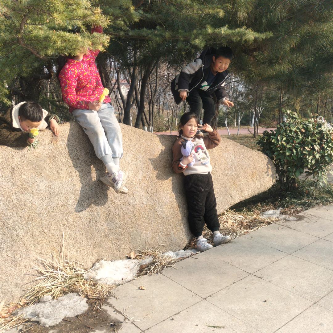 工作顺利张朝贵