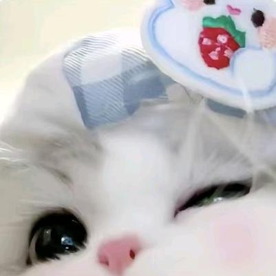 早春雨漫诗