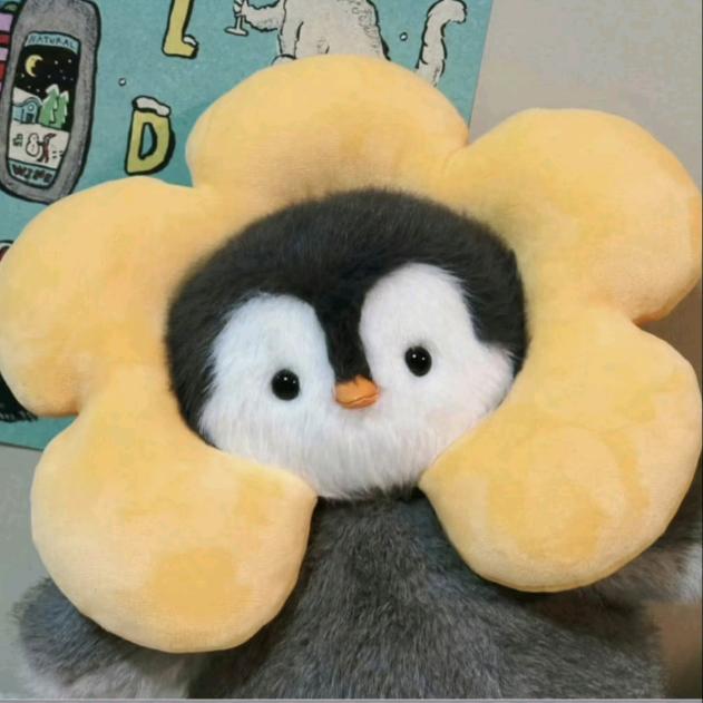 佑佑的黑粉头子😉