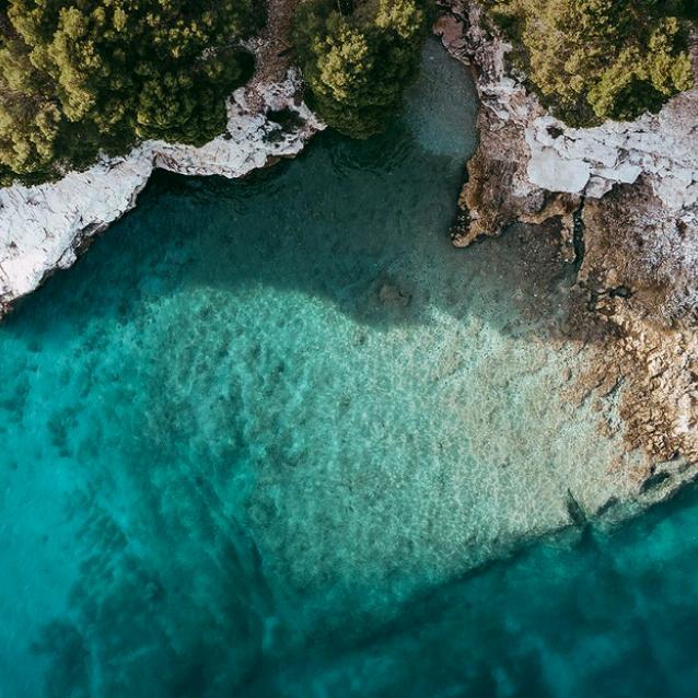 我不会，点不动！