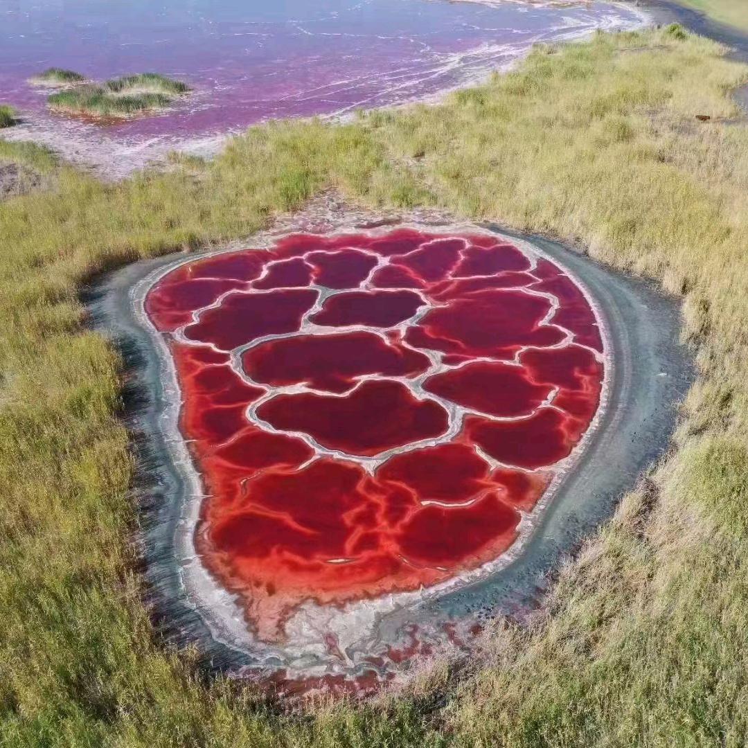 中旅阿拉善直播分队-侯哥