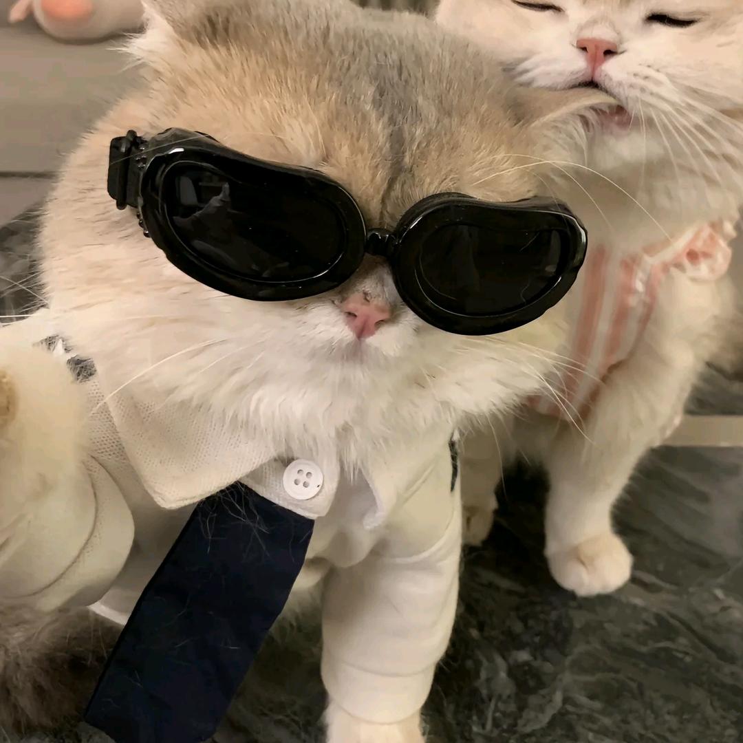 ˗ˋˏᰔᩚˎˊ˗