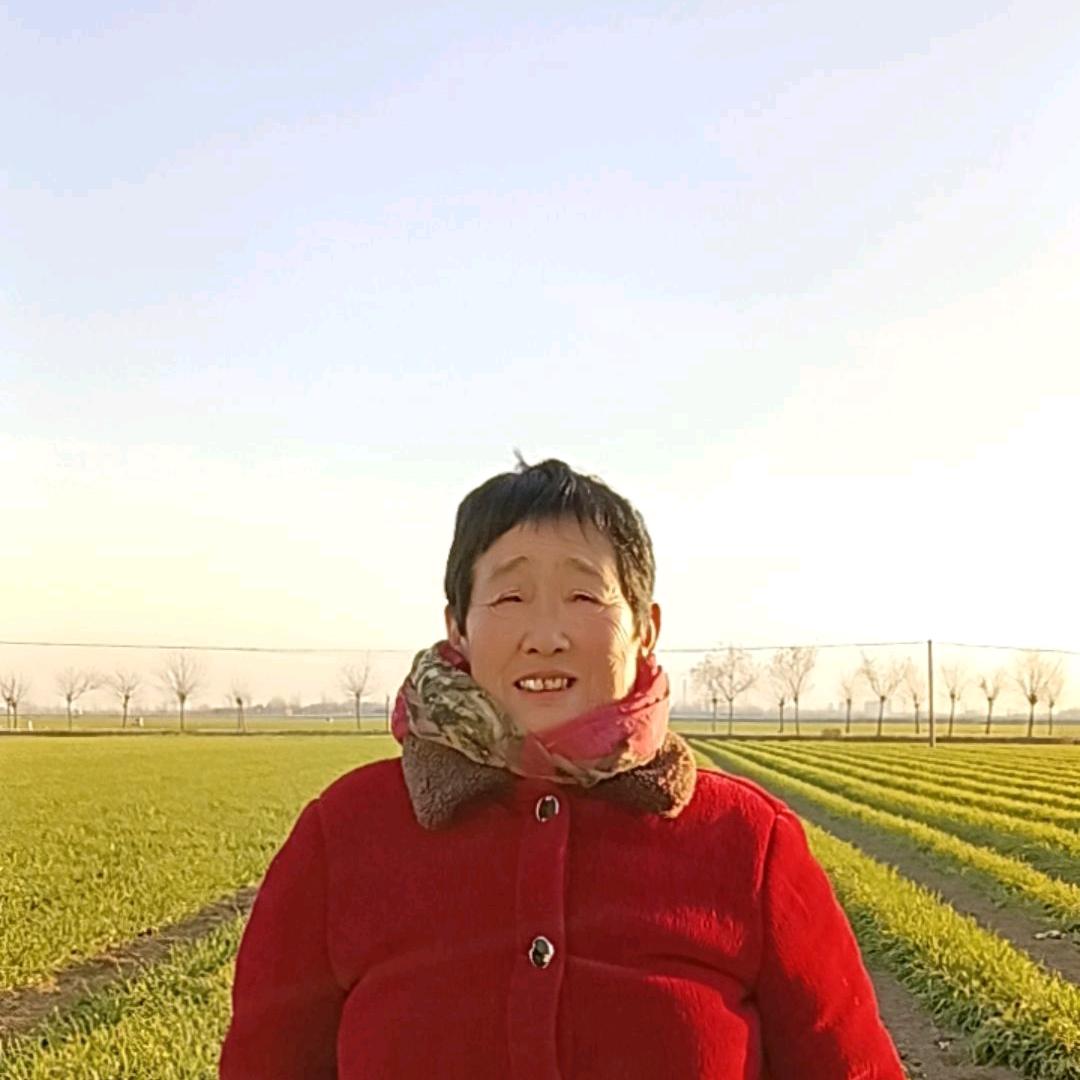 刘大姐1月9号（晚上6点20首播）