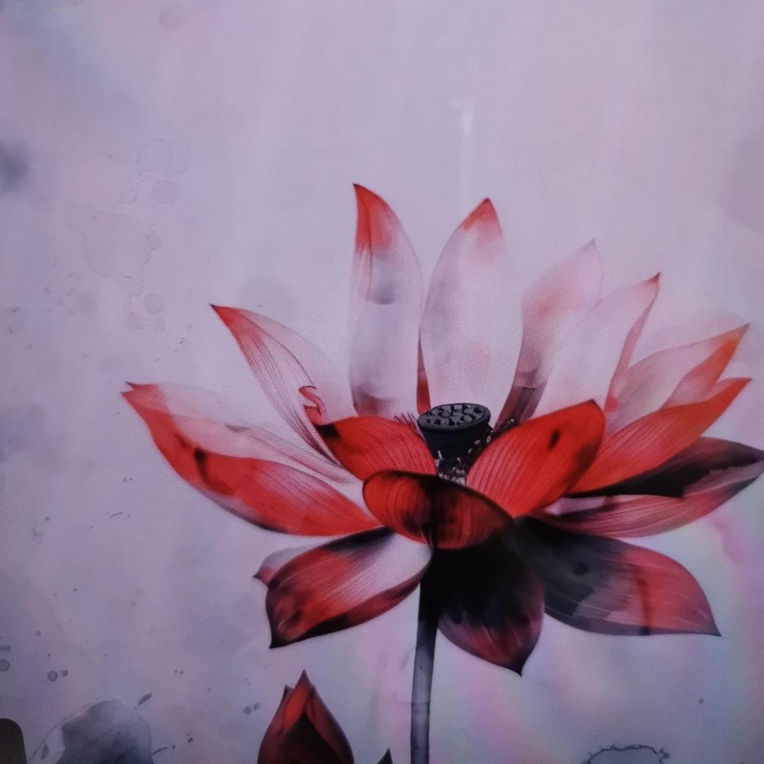 溪记大红袍【优品推荐】