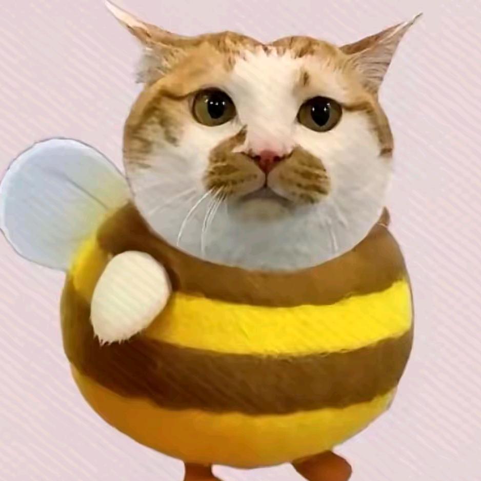 多肉莓莓