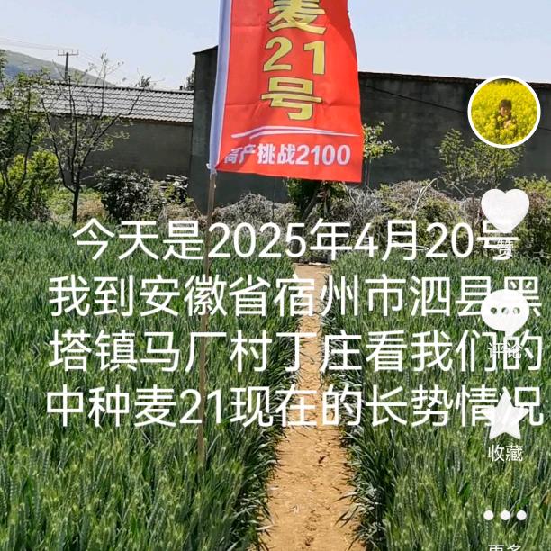 人行善事，莫问前程