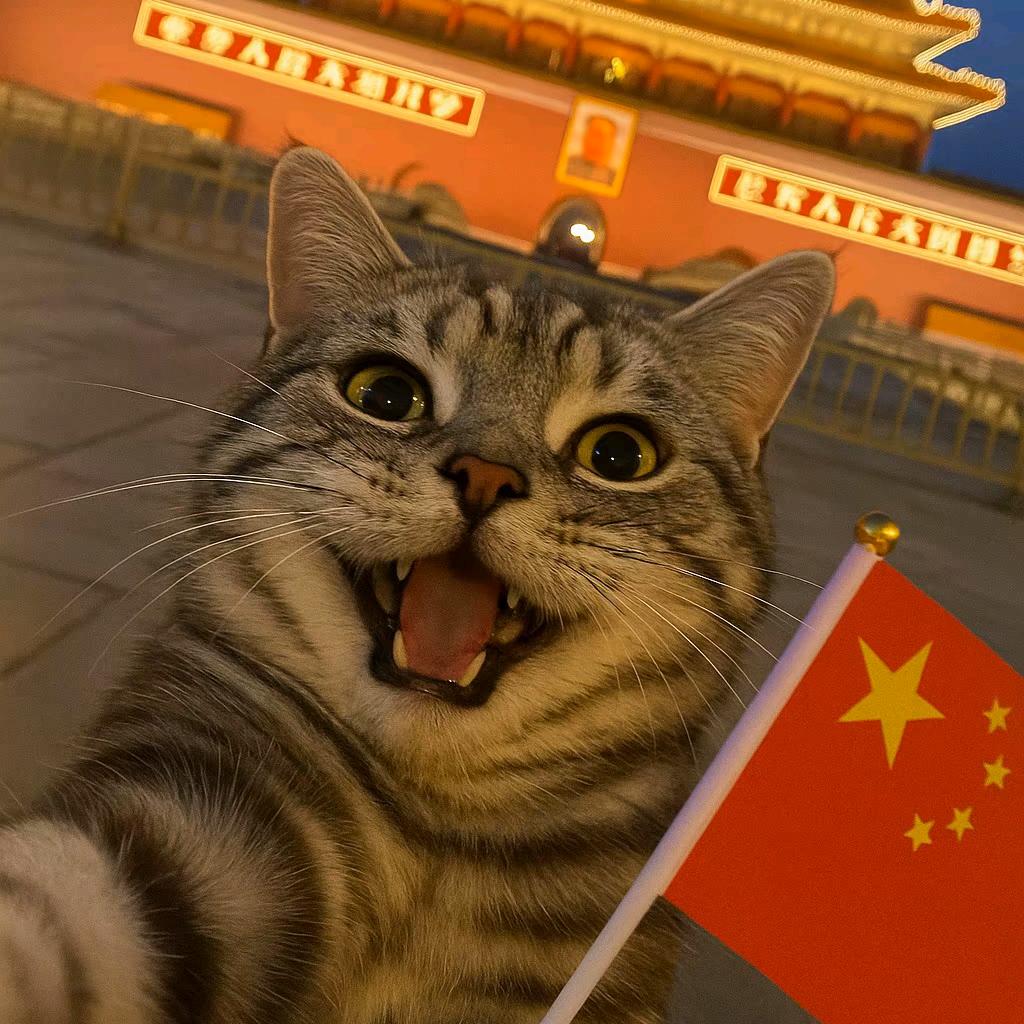 小龙呀