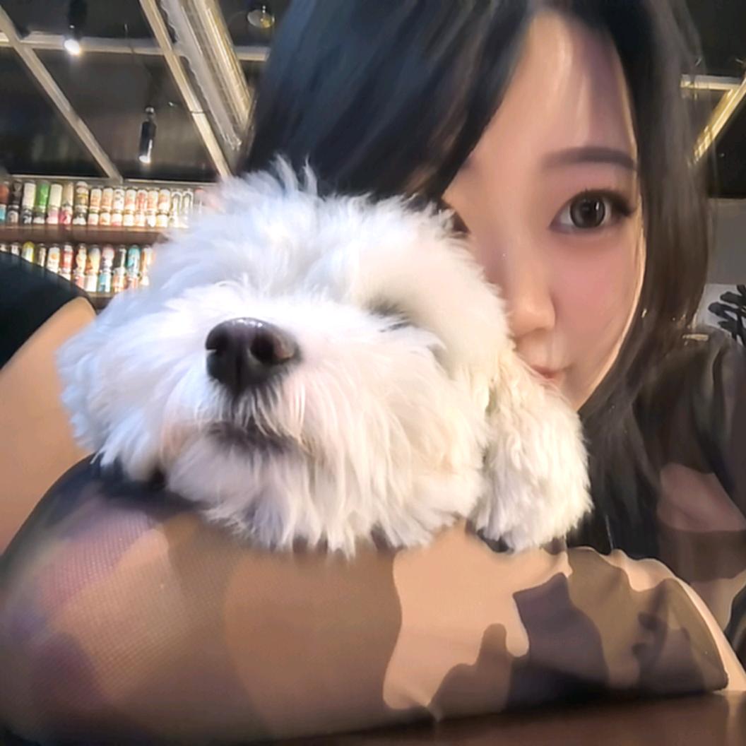 🌊（努力脱脂版）