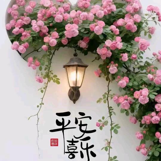 💖如止水🧘