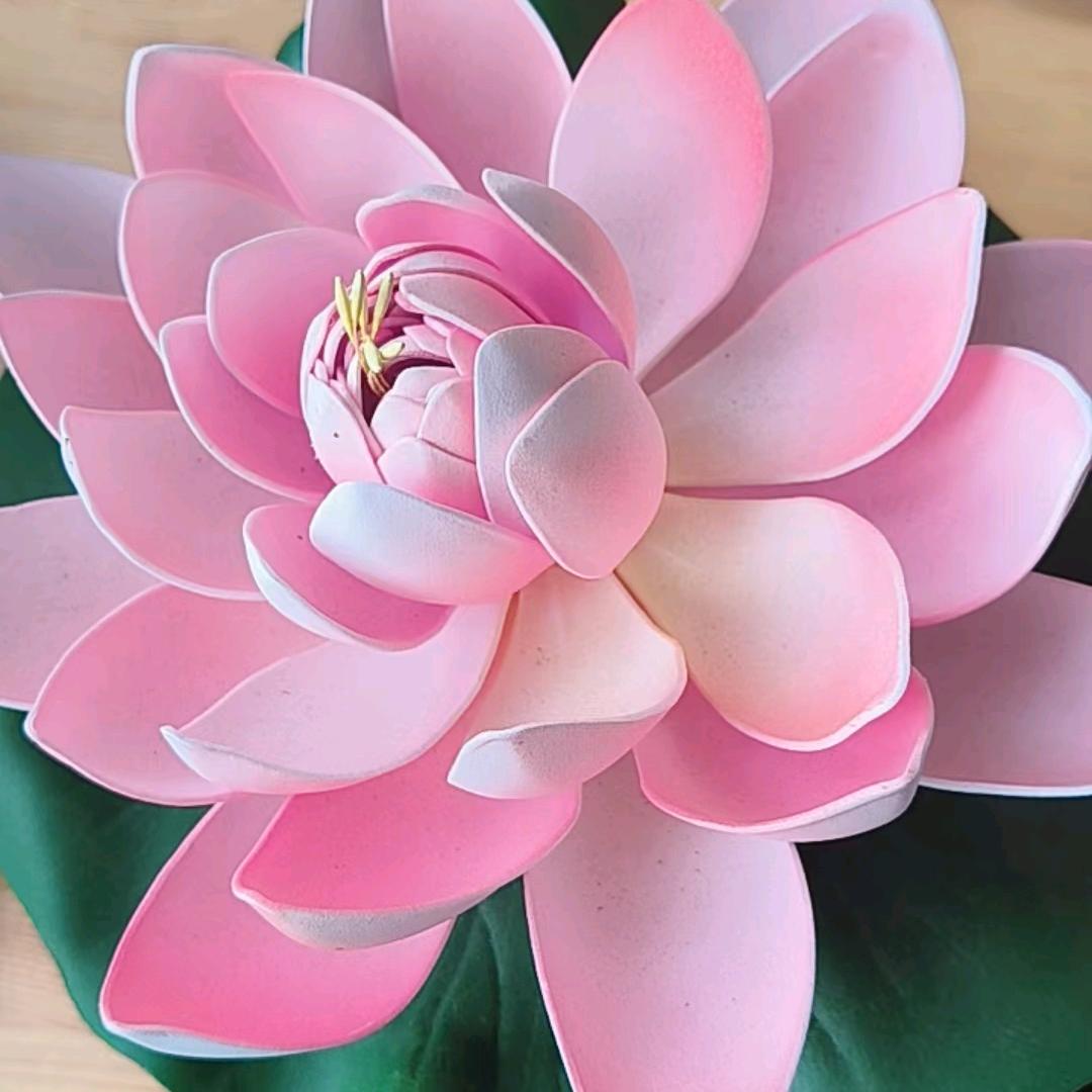 静心（早上5点40开播）
