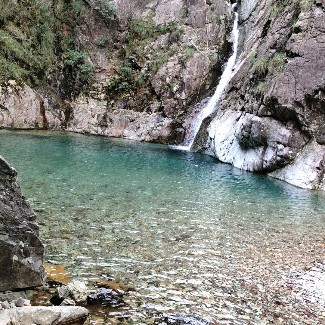 权哥