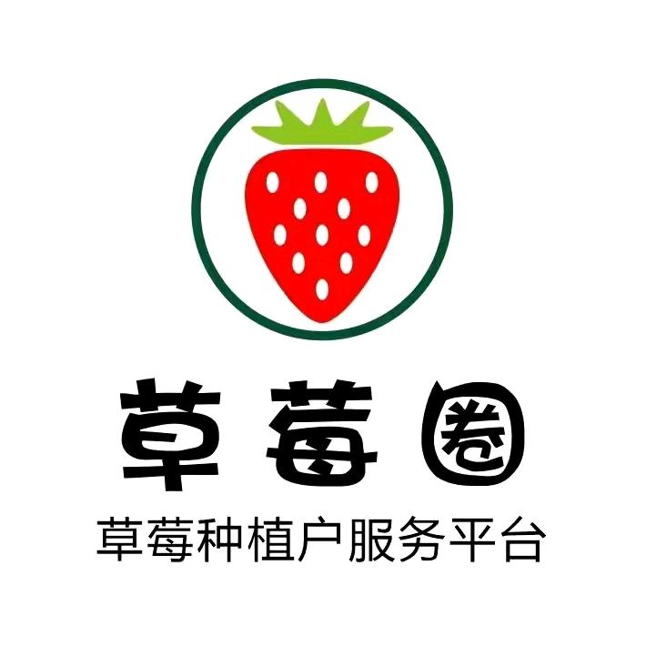 草莓圈种植技术服务