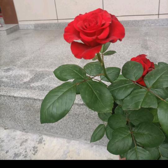 用户626313323605
