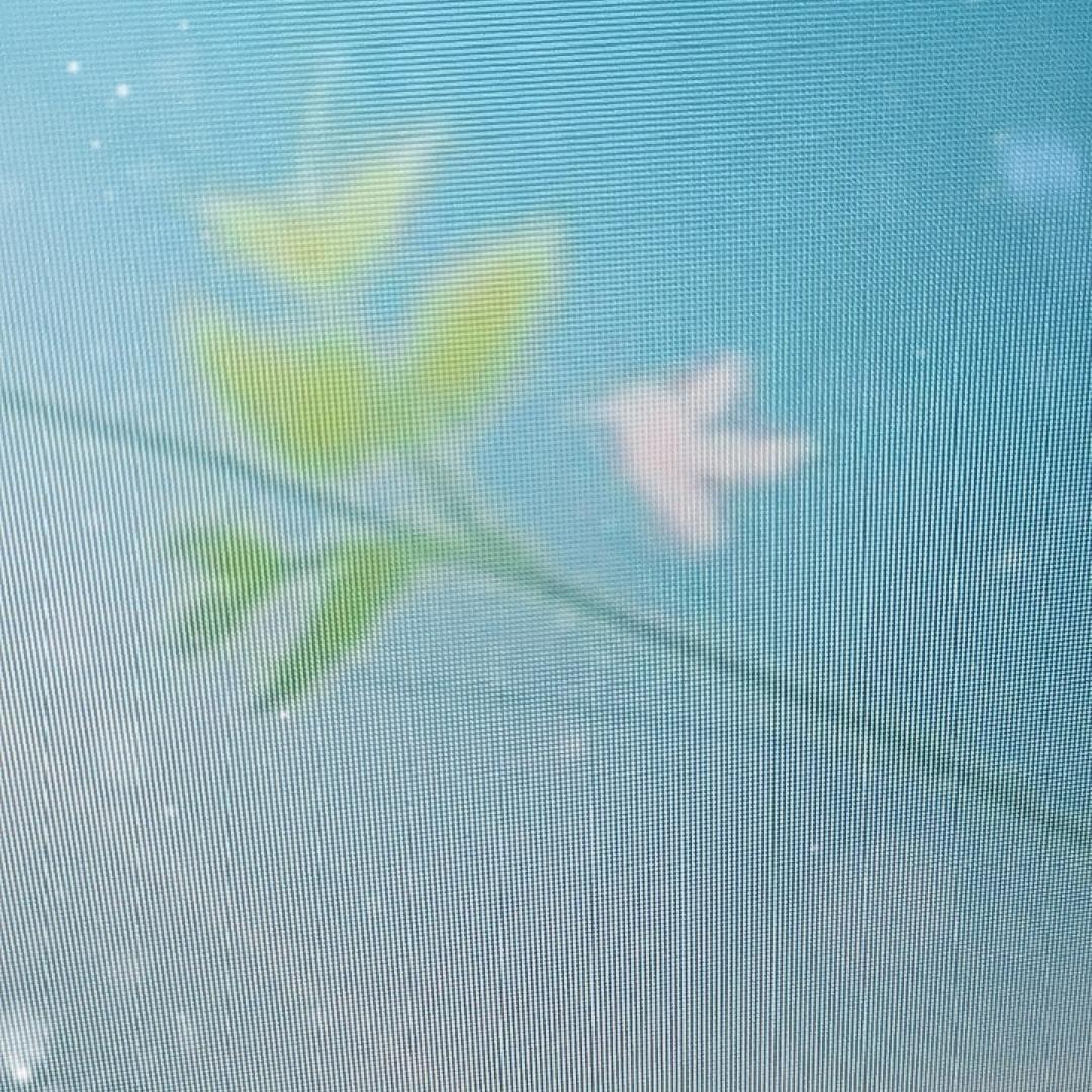剑荡江湖