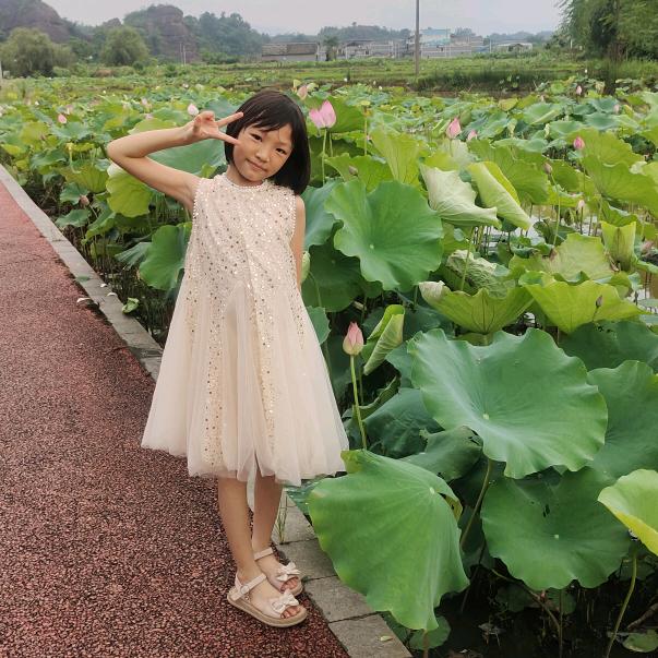 小紫灵